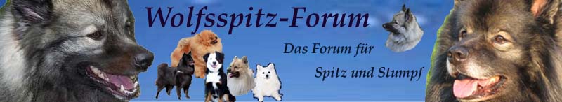Wolfsspitz-Forum, das Forum fr Wolfs- und andere Spitze. - Powered by vBulletin